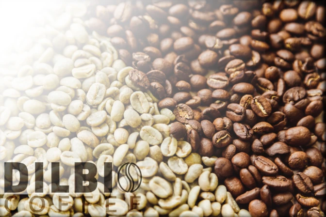 green coffee beans next to roasted coffee beans with dilbi ethiopian wholesale exporter company logo