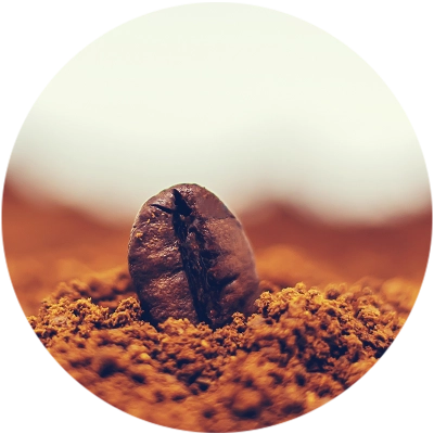 single roasted coffee bean on top of a heap of ground coffee with blur effect