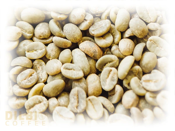 zoom-in of raw green coffee beans